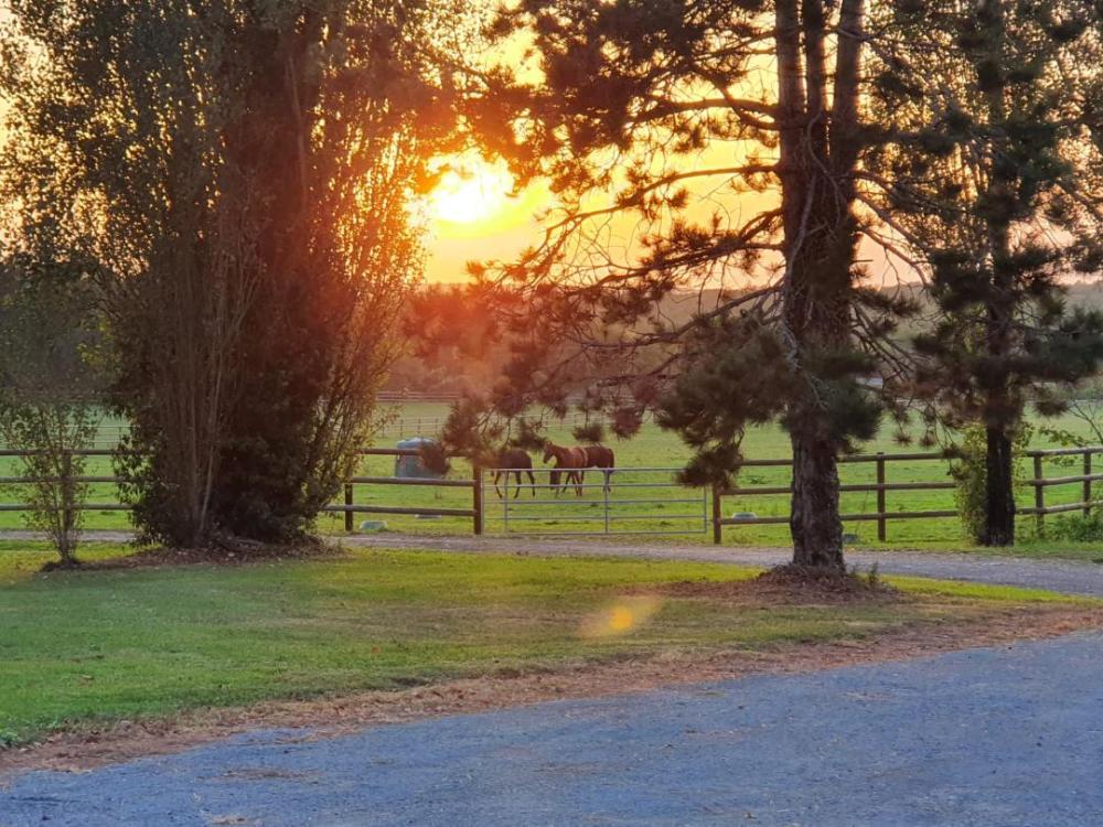 paddock et coucher de soleil