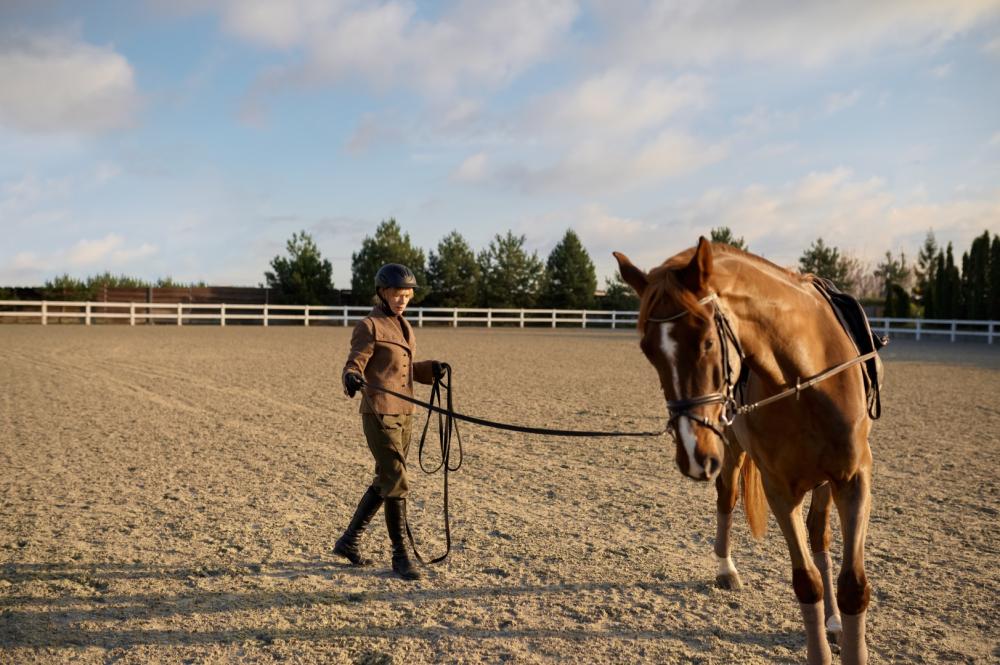 débourrage chevaux de course près de La Rochelle