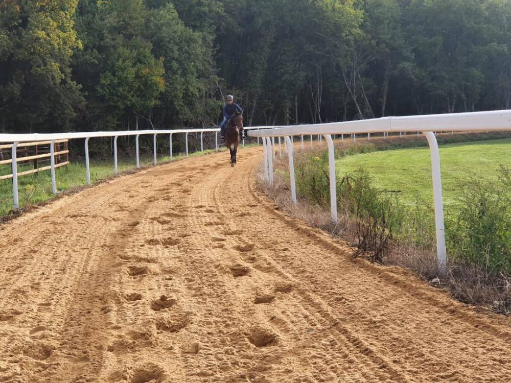 cheval sur piste d'entrainement