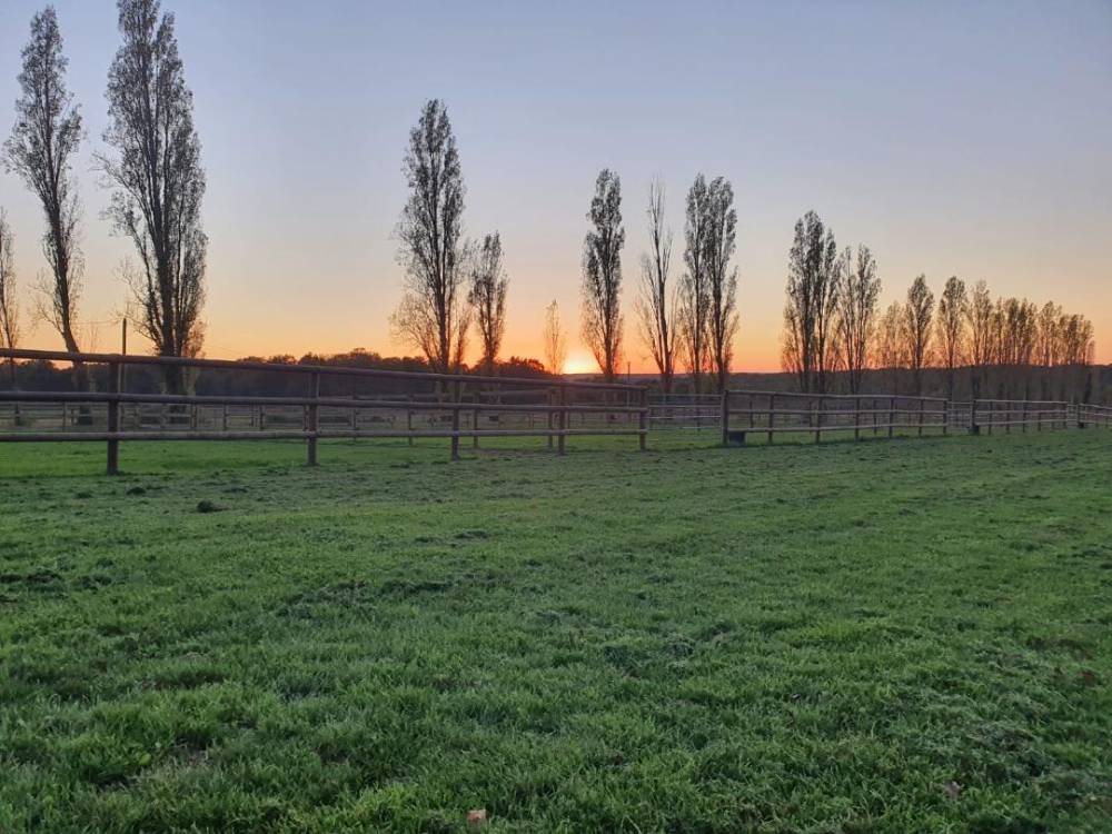 paddock de repos au coucher de soleil