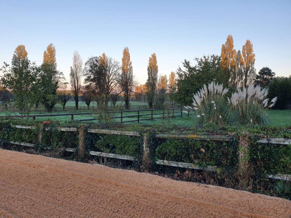 piste et paddock du haras