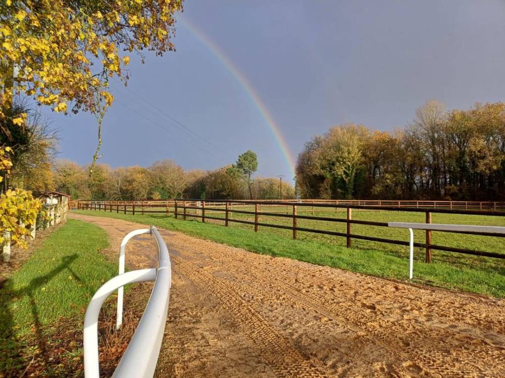 paddock et piste du haras