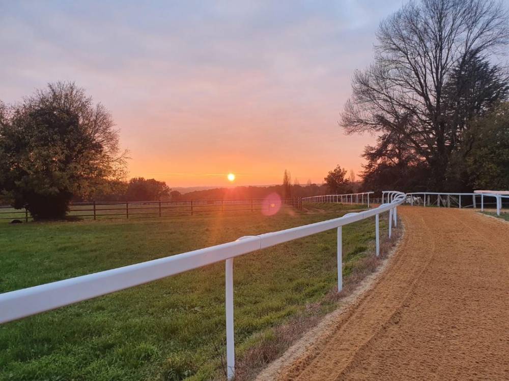 piste d'entrainement du haras